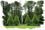 Desbroces y jardinería